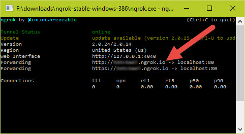 ngrok localhost tunnel