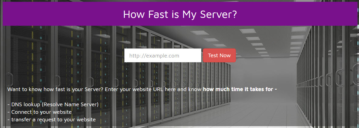 How fast is my server