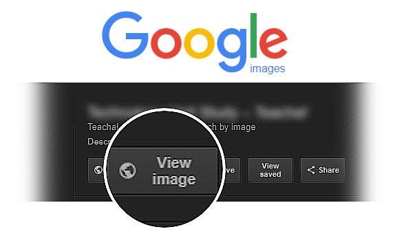 How to get view image button in google image search